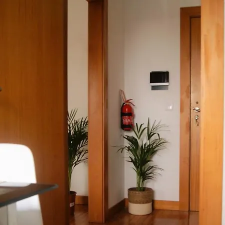 No Centro Do Apartman Funchal