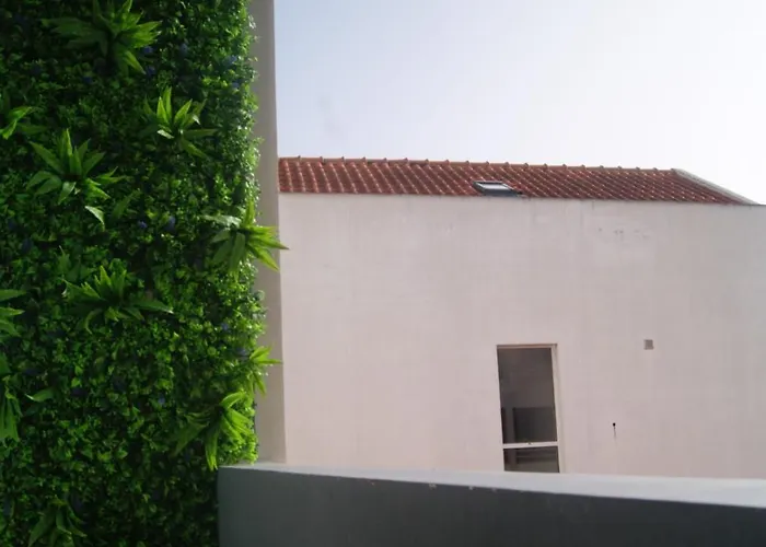 No Centro Do * פונשל